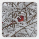 Search for red cardinal stickers Tree