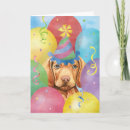 Search for vizsla cards Hungarian pointer