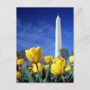 Search for washington monument postcards Reflection