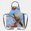 Search for majestic aprons Bird