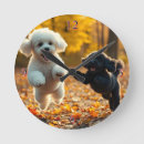 Search for poodle clocks Puppies