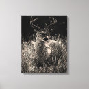 Search for stag canvas prints Wildlife