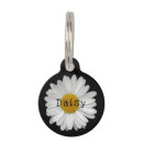 Search for daisy pet tags floral