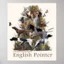 Search for english pointer Breed