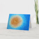 Search for for susan cards Blue