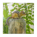 Recherche de poteaux carreaux Nature