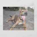 Recherche de rires cartes postales Animal