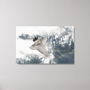 Search for shuttle canvas prints Space exploration
