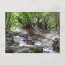 Recherche de cascade cartes postales Arbre