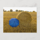 Recherche de postkarte Paypaysage
