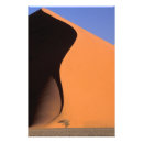 Recherche de sable dunes posters Arbre