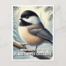 Search for capped chickadee postcards Birds