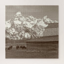 Search for rowing puzzles Nature