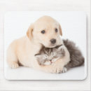 Search for dog sleeping mousepads Cute