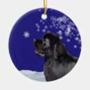 Search for newfoundland dog ornaments Winter
