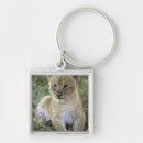 Search for kevin keychains Wild