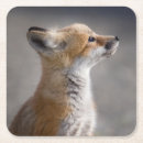 Recherche de petit renard dessous de verres Animal