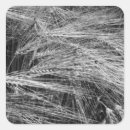 Search for barley stickers Agriculture