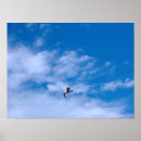 Search for seagull posters Cloud