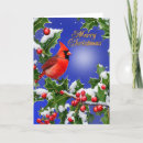Search for red bird christmas cards Cardinal