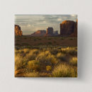 Search for monuments buttons Usa