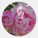 Recherche de gracieux autocollants Rose