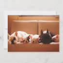 Search for french bulldog thank you cards Canine