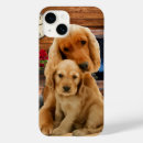 Search for labrador retriever dog iphone cases Labradors