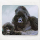 Search for gorilla mousepads Apes