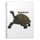 Search for tortoise notebooks Reptile