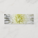 Search for chrysanthemum photography Pretty