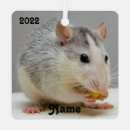 Search for pet rat ornaments Rodent