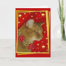 Search for abies postcards Abyssinian