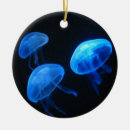 Search for jellyfish ornaments Underwater