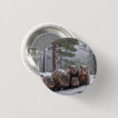 Search for wombat buttons Marsupials