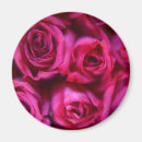 Recherche de macro de fleur magnets Photographie