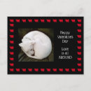 Recherche de amoureux les chats cartes postales Friend
