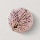 Search for neuron buttons Brain