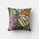 Search for purple butterfly pillows Photography