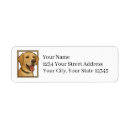 Search for yellow lab return address labels Dog