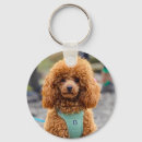 Search for poodle dog keychains Pet