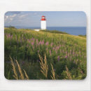 Search for saint david electronics Canadian