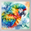 Search for parrot lover posters Wildlife