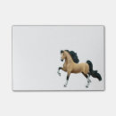 Search for saddlebreds Equestrian