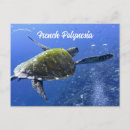 Recherche de française cartes postales Océan
