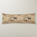 Recherche de chien labrador coussins Laboratoire jaune