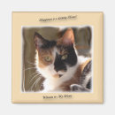 Recherche de citrouille de chat Chatons