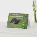 Search for funny beaver cards Humour