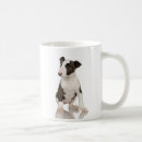 Recherche de bull terrier tasses Chiot
