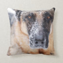 Search for german shepherd pillows Puppy